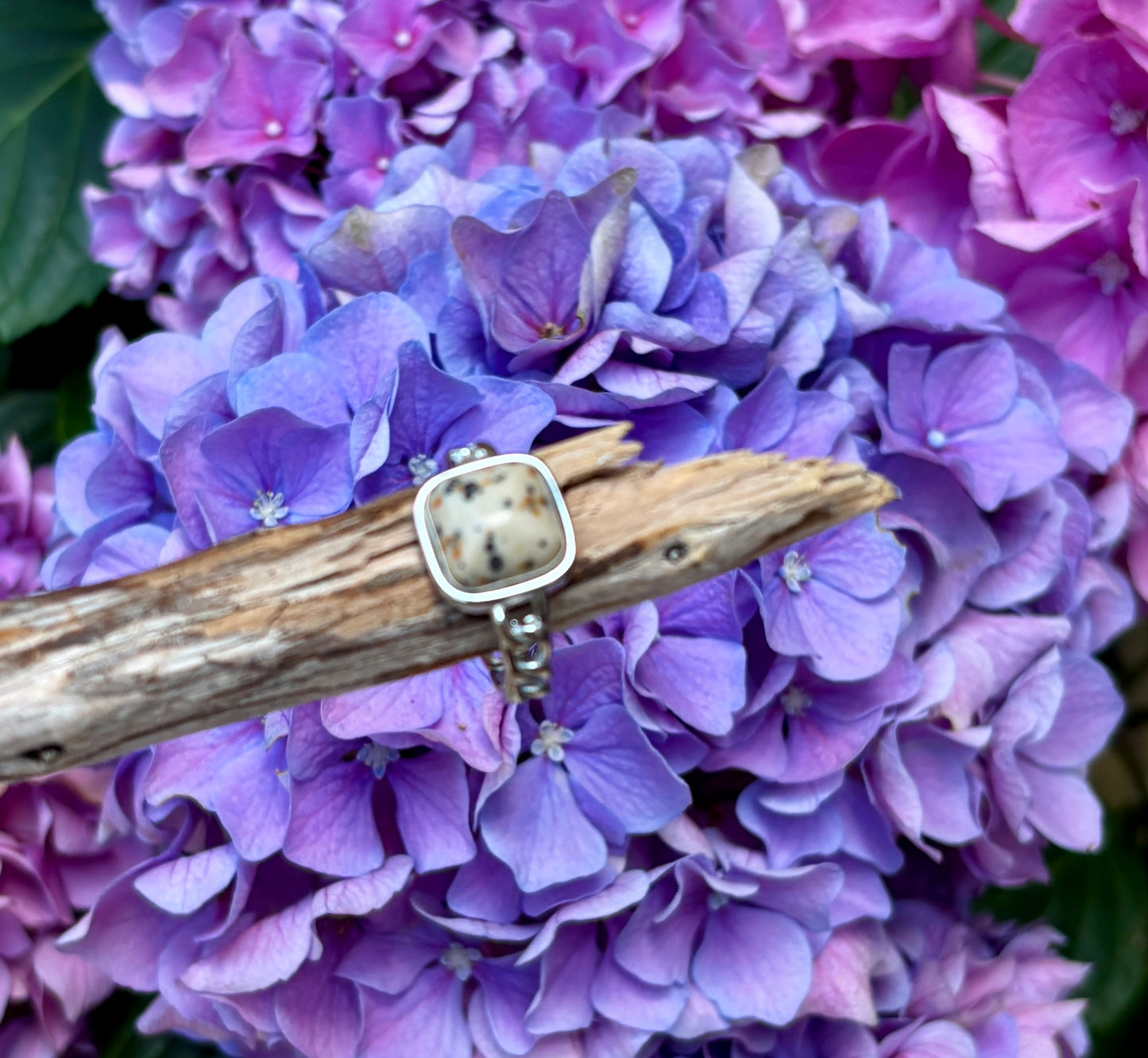 18ct Gold Plated Square Dalmatian Jasper Ring - Available in Silver
