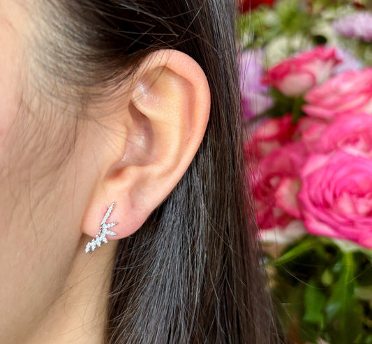 925 Sterling Silver Cubic Zirconia Celestial Wings Earrings