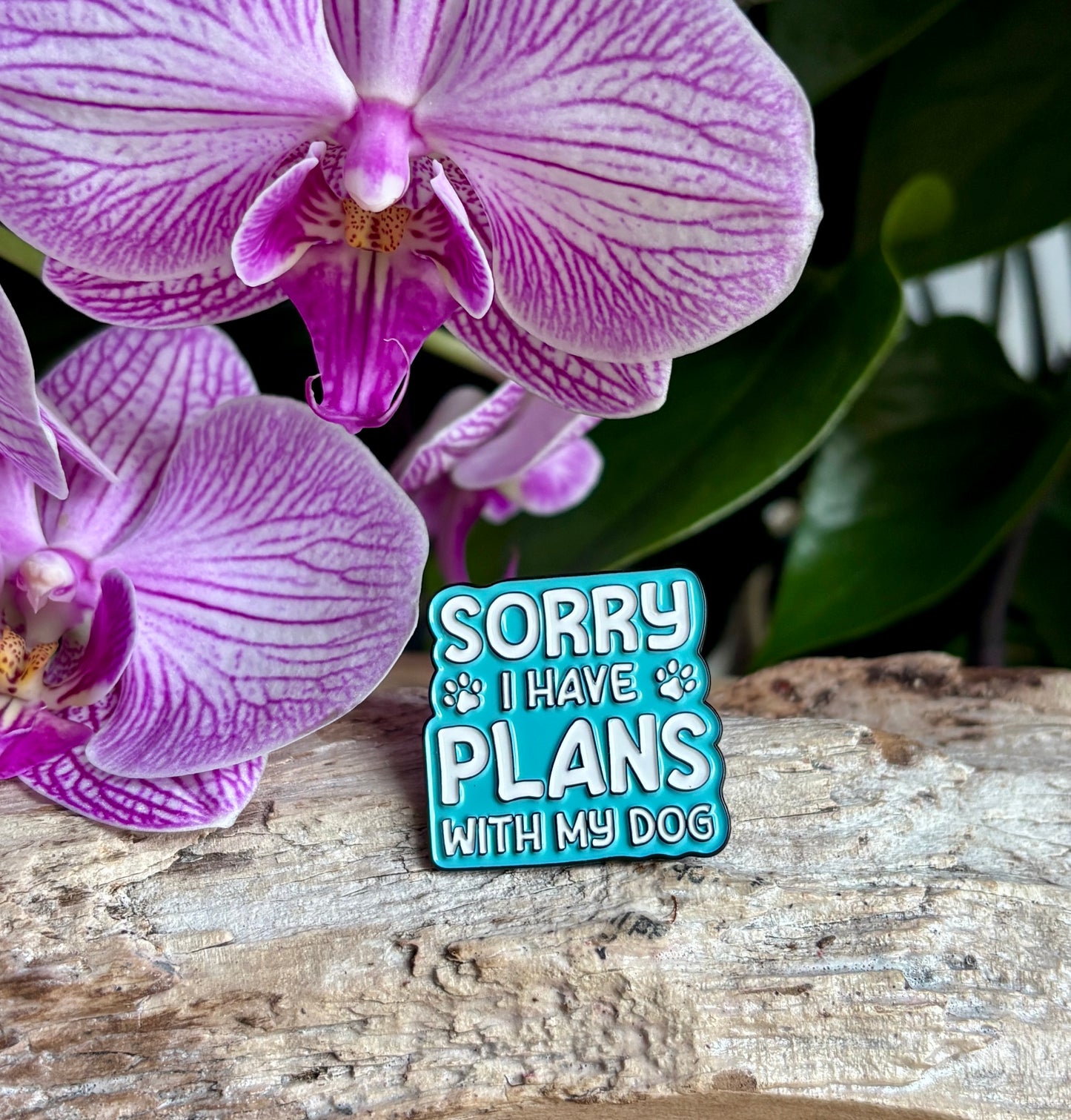 Sorry I Have... Pin Badge Card