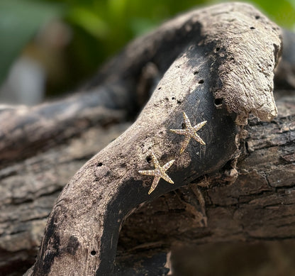 14ct Gold Plated Starfish Stud Earrings