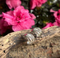 Rhodium Plated Twisted Multi Band Earrings